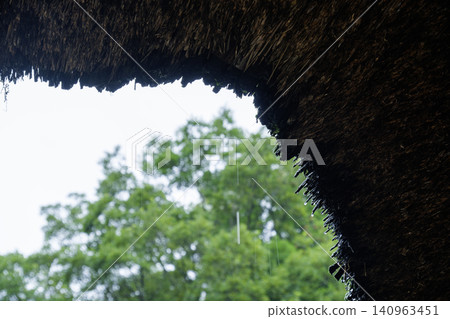 Thatched roof drops Thatched roof drops 140963451