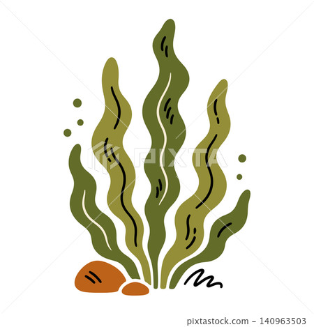 Seaweed plant illustration in minimalist flat vector style for ocean themed decor and design Seaweed plant illustration in minimalist flat vector style for ocean themed decor and design 140963503