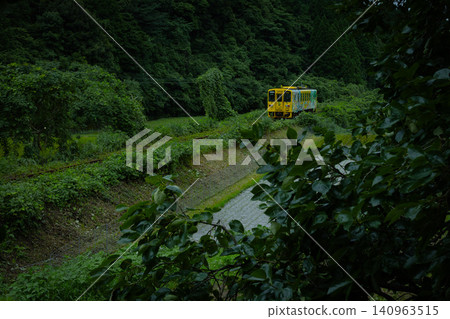 一列當地火車穿過森林 一列當地火車穿過森林 140963515