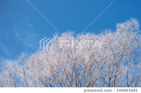 山麓(猿飛日斬高原)上覆著一層晶瑩剔透的霜花。 山麓(猿飛日斬高原)上覆著一層晶瑩剔透的霜花。 140963985