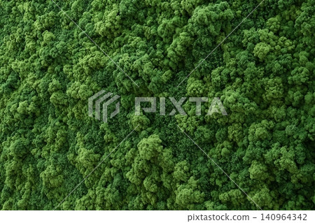 Lush green decorative stabilized moss covering vertical wall in contemporary office building, in natural light, providing a rich perspective on natural beauty and trendy interior design Lush green decorative stabilized moss covering vertical wall in contemporary office building, in natural light, providing a rich perspective on natural beauty and trendy interior design 140964342