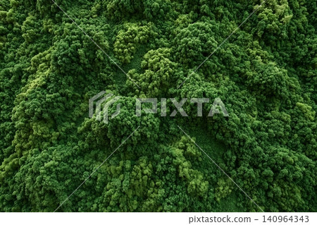 Lush green decorative stabilized moss covering vertical wall in contemporary office building, in natural light, providing a rich perspective on natural beauty and trendy interior design Lush green decorative stabilized moss covering vertical wall in contemporary office building, in natural light, providing a rich perspective on natural beauty and trendy interior design 140964343