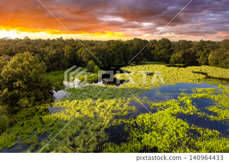 Florida wetlands with water between green wild vegetation. Tropical ecosystem at sunset Florida wetlands with water between green wild vegetation. Tropical ecosystem at sunset 140964433