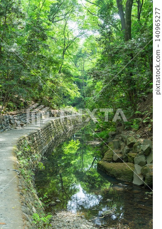 渡渡木山谷,那裡綠意盎然,景色優美。 渡渡木山谷,那裡綠意盎然,景色優美。 140965277