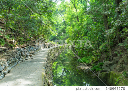 Todoroki Valley, where the fresh greenery is beautiful. Todoroki Valley, where the fresh greenery is beautiful. 140965278
