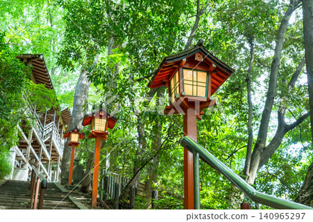 Todoroki Valley, where the fresh greenery is beautiful. 140965297