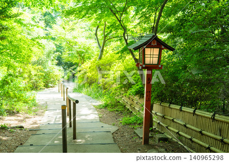 Todoroki Valley, where the fresh greenery is beautiful. 140965298