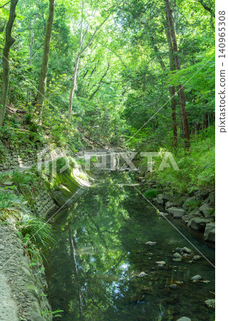 Todoroki Valley, where the fresh greenery is beautiful. Todoroki Valley, where the fresh greenery is beautiful. 140965308