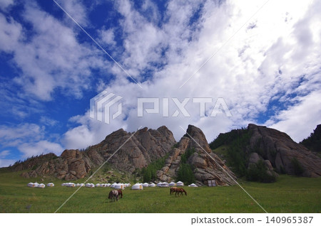 Mongolia, Terelj National Park: Przewalski's horses can be seen very close to the ger (traditional Mongolian tent). Mongolia, Terelj National Park: Przewalski's horses can be seen very close to the ger (traditional Mongolian tent). 140965387