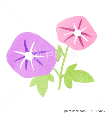 牽牛花的郵票風格插圖 牽牛花的郵票風格插圖 140965857
