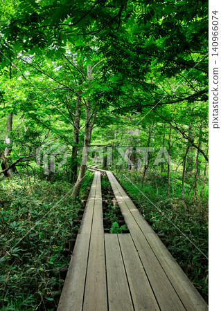 Scenery of Myojin Pond in Kamikochi Scenery of Myojin Pond in Kamikochi 140966074