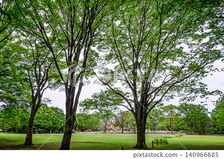 Fresh green park Fresh green park 140966685