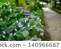 繡球花路 140966687