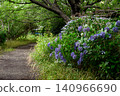 繡球花路 140966690