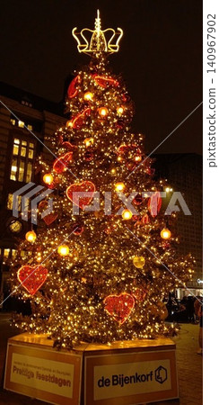 Christmas trees in Amsterdam [Netherlands] 140967902