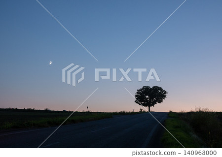 A heart-shaped tree and a crescent moon standing on a hill at dusk. A heart-shaped tree and a crescent moon standing on a hill at dusk. 140968000