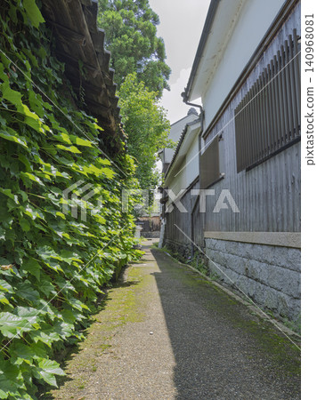 A nostalgic path adorned with green ivy. 140968081
