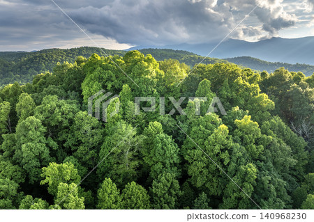 Mount Mitchell State Park with summer woods of Appalachian mountains with green canopies in colorful forest at sunset. Wild nature in summertime season Mount Mitchell State Park with summer woods of Appalachian mountains with green canopies in colorful forest at sunset. Wild nature in summertime season 140968230