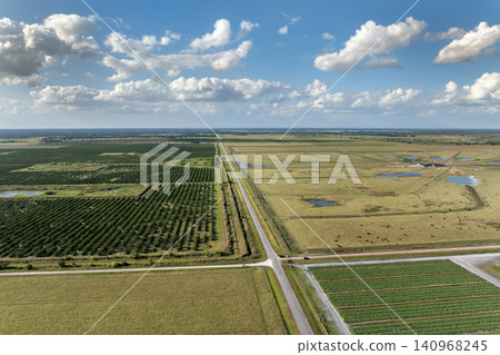 Aerial view of green farm fields in summer season with growing crops. Farming and agriculture industry Aerial view of green farm fields in summer season with growing crops. Farming and agriculture industry 140968245