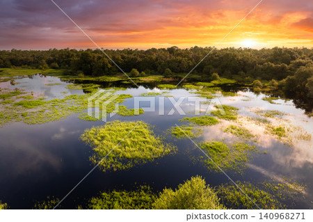 Florida wetlands with water between green wild vegetation. Tropical ecosystem at sunset Florida wetlands with water between green wild vegetation. Tropical ecosystem at sunset 140968271