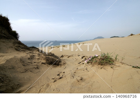 Tottori four seasons walk summer Tottori sand dunes Tottori four seasons walk summer Tottori sand dunes 140968716