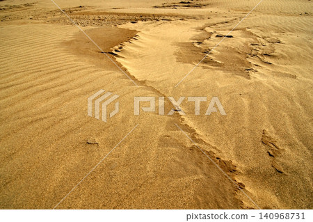 Tottori four seasons walk summer Tottori sand dunes 140968731
