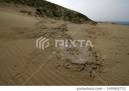 Tottori four seasons walk summer Tottori sand dunes Tottori four seasons walk summer Tottori sand dunes 140968732