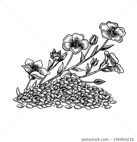 A handful of flax seeds, a flax flower. Black and white, graphic, vector, and hand-drawn illustrations. Design elements for labels and packaging, as well as banners, posters, and more A handful of flax seeds, a flax flower. Black and white, graphic, vector, and hand-drawn illustrations. Design elements for labels and packaging, as well as banners, posters, and more 140969238