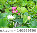 Flowers of the rainy season 140969590