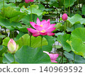 Flowers of the rainy season 140969592