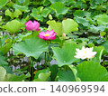 Flowers of the rainy season 140969594