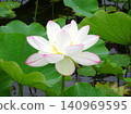 Flowers of the rainy season 140969595