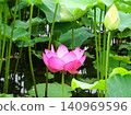 Flowers of the rainy season 140969596