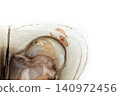 Pen shells and the clownfish that live in them 140972456