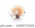 Opened raw scallop 140972459