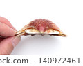 Characteristics of the Japanese scallop (Pecten scallop) 140972461