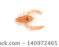 Male *Pericaria japonica* (a type of shrimp that lives in shells such as *Pen Shells* and *Scallops*) 140972465