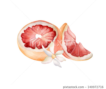 Grapefruit summer citrus fruits. Watercolor hand drawn floral food illustration isolated on white background for home kitchen textile fresh fabric print card cosmetic package porcelain crockery label Grapefruit summer citrus fruits. Watercolor hand drawn floral food illustration isolated on white background for home kitchen textile fresh fabric print card cosmetic package porcelain crockery label 140972716
