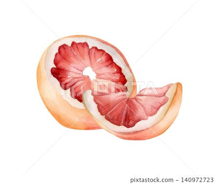 Grapefruit summer citrus fruits. Watercolor hand drawn floral food illustration isolated on white background for home kitchen textile fresh fabric print card cosmetic package porcelain crockery label Grapefruit summer citrus fruits. Watercolor hand drawn floral food illustration isolated on white background for home kitchen textile fresh fabric print card cosmetic package porcelain crockery label 140972723