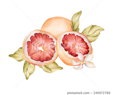 Grapefruit summer citrus fruits. Watercolor hand drawn floral food illustration isolated on white background for home kitchen textile fresh fabric print card cosmetic package porcelain crockery label 140972780