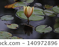 Yellow lily 140972896