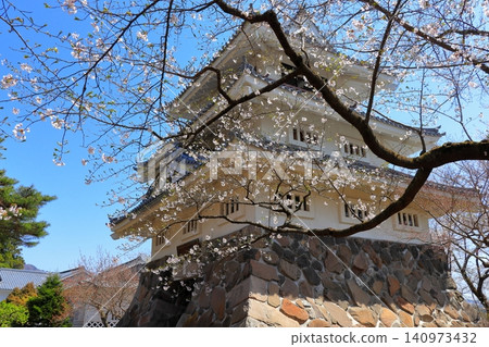 北方城堡小鎮的春天:國家歷史遺址山之屋遺址的城堡天守閣,映襯著藍天 | 櫻花與歷史風景/旅遊 北方城堡小鎮的春天:國家歷史遺址山之屋遺址的城堡天守閣,映襯著藍天 | 櫻花與歷史風景/旅遊 140973432
