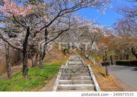 通往水戶城遺址正門的階梯(城山公園)| 春日漫步,櫻花爛漫,藍天白雲,青森縣水戶町 通往水戶城遺址正門的階梯(城山公園)| 春日漫步,櫻花爛漫,藍天白雲,青森縣水戶町 140973535