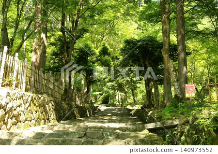 Hyakusaiji Temple: The approach to the temple amidst fresh greenery. Hyakusaiji Temple: The approach to the temple amidst fresh greenery. 140973552