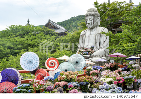 坪坂寺的繡球花和大佛 坪坂寺的繡球花和大佛 140973647