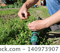 The hands of a craftsman winding sealing thread onto the brass threads of a fitting to seal a garden water pipe. The process is taking place in a garden bed amidst green grass on a sunny day. 140973907