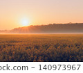 A field of rapeseed flowers illuminated by the rising sun amid the morning mist. 140973967