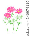A simple illustration of a deep pink cosmos flower. 140974110