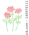 A simple illustration of pink cosmos flowers. 140974111