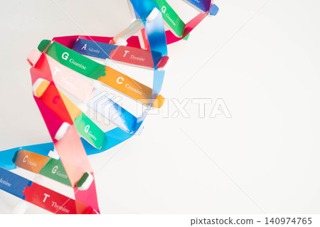 DNA molecule spiral structure model isolated on white background, chromosome and gene chemical science biology. DNA molecule spiral structure model isolated on white background, chromosome and gene chemical science biology. 140974765